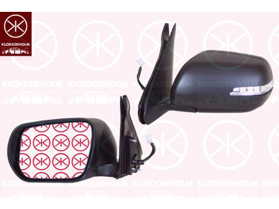 Exterior Mirror, Left, for electric mirror adjustment, Electronically foldable, Number of pins: 9, with indicator, Heatable, Convex, w/primer