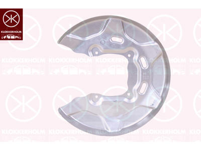 Splash Guard, brake disc, Rear Axle, for brake disc diameter [mm]: 300, Zinc-coated