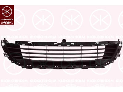 Ventilation Grille, bumper, Front, Lower Section