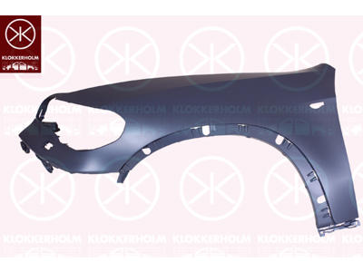 Wing, Right Front, with hole(s) for washer nozzle, with hole for direction indicator