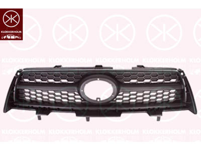 Radiator Grille, black