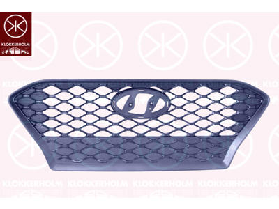 Radiator Grille, Front, dark grey