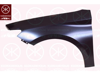 Wing, Left Front