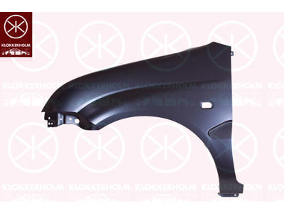 Wing, Left Front, with hole for direction indicator