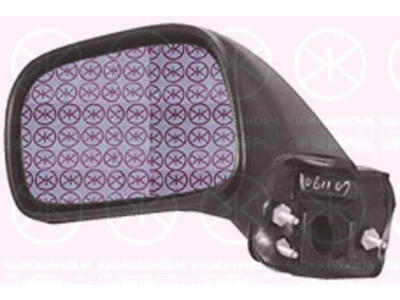 Buitenspiegel, Bol-vormig, Links