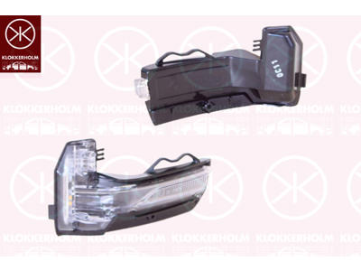 Direction Indicator, Exterior Mirror, Left, LED