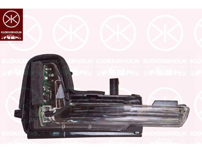 Direction Indicator, Right, Exterior Mirror, LED