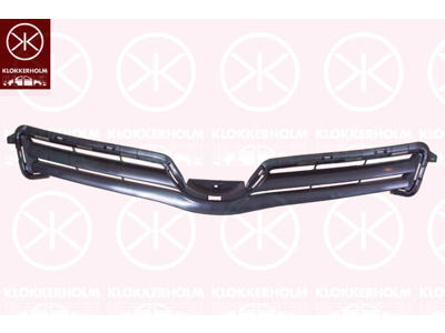 Radiator Grille, Outer section, black