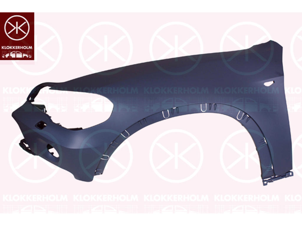 Wing, Left Front, with hole(s) for washer nozzle, with hole for direction indicator