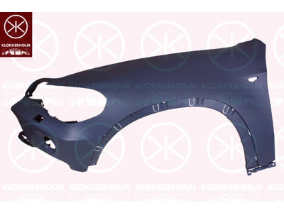 Wing, Left Front, with hole(s) for washer nozzle, with hole for direction indicator