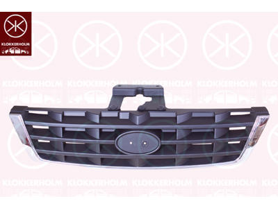 Radiator Grille, chrome/black