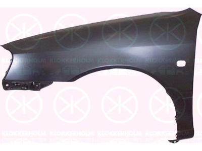 Lokasuoja, Eteen, oikea, Aukko vilkkuvaloille