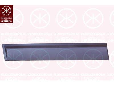 Trim/Protection Strip, door, Left Front, black, with trim strip