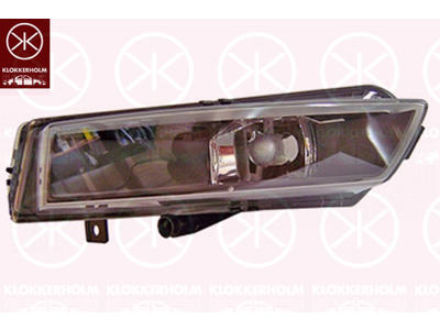 Front Fog Light, H11, Right Front, AL