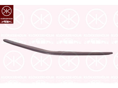 Radiator Grille, Centre Section, black