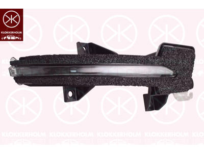 Direction Indicator, Exterior Mirror, Right, LED