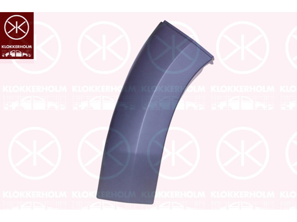 Trim/Protection Strip, door, dark grey, Left Front, Front Section