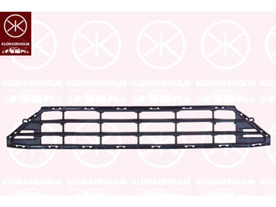 Radiator Grille, Front, Lower Section
