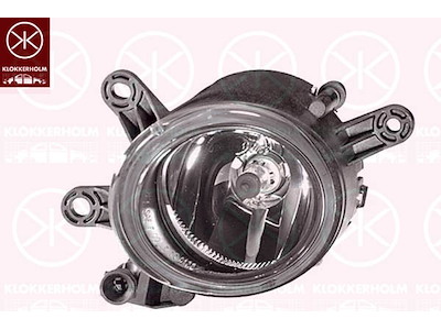 Front Fog Light, Left Front, H11, AL