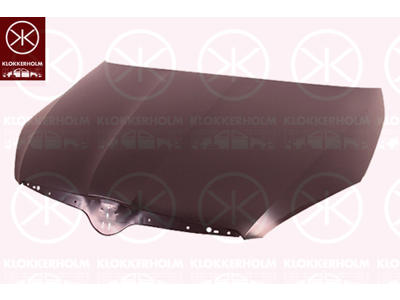 Bonnet, Steel