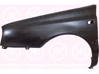 Spatbord, Links voor, Zonder gat voor antenne, Met gat voor knipperlampen