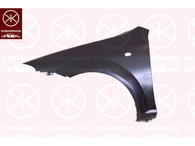 Wing, Right Front, with hole for direction indicator