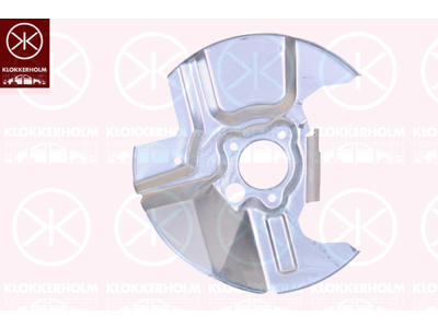 Splash Guard, brake disc, Front Axle Right, Diameter 1/Diameter 2 [mm]: 290/55, Zinc-coated