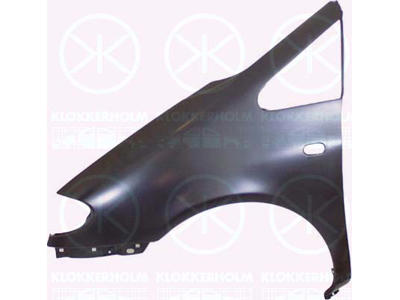 Wing, Left Front, with hole for direction indicator