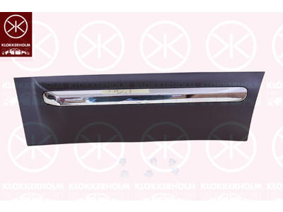 Trim/Protection Strip, door, Left Rear, black, with trim strip, chrome