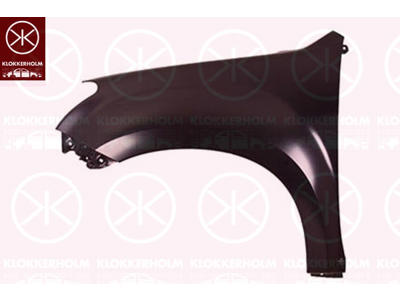 Wing, Left Front