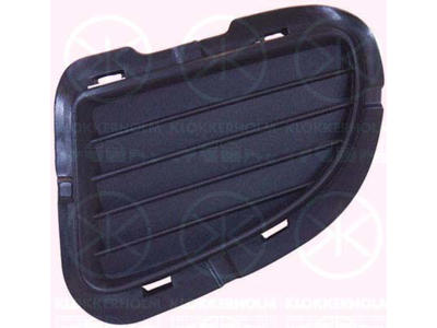 Ventilation Grille, bumper, Right Front, Outer section