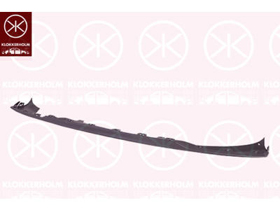 Spoiler, Rear