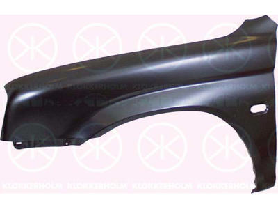 Wing, Left Front, without holes for extensions, with hole for direction indicator