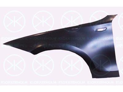 Wing, Left Front, with hole for direction indicator