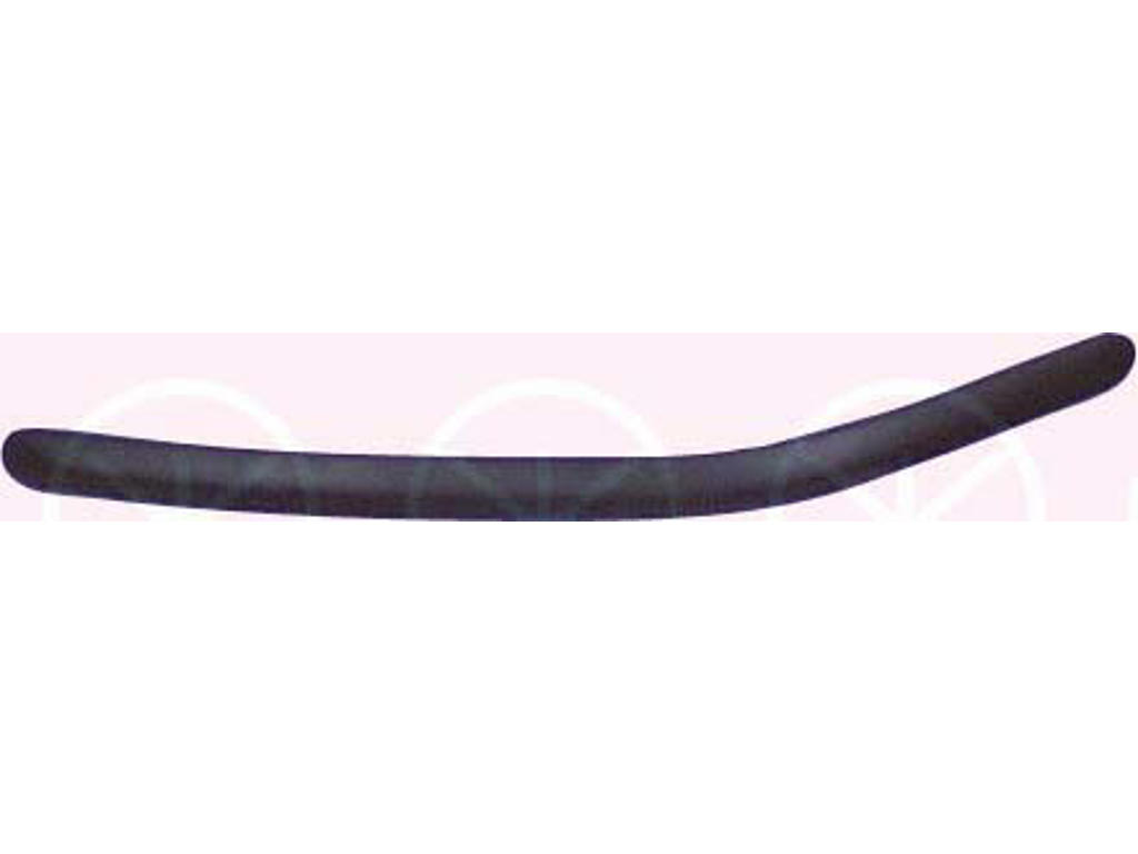 Trim/Protection Strip, bumper, Right Front