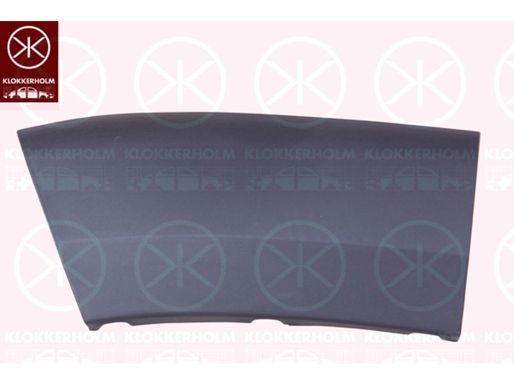Trim/Protection Strip, wing, Right Front, Front Section, black