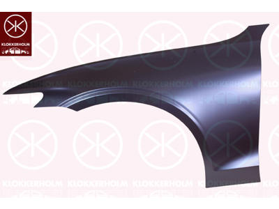 Wing, Aluminium, Left Front, without hole for direction indicator