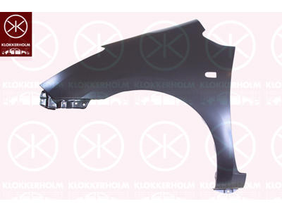 Wing, Left Front, with hole for direction indicator