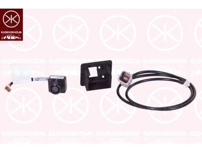 Rear View Camera, park distance control, Rear Section