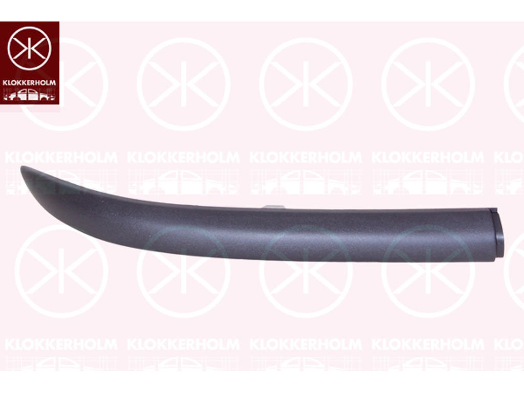 Trim/Protection Strip, bumper, Right Rear
