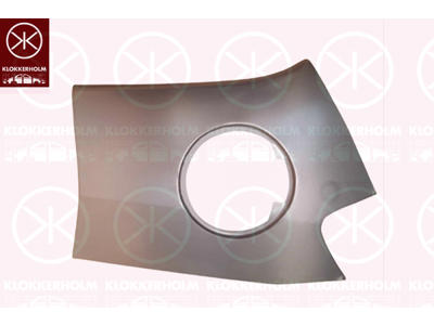 Quarter Panel, Left Rear, Repair Panel, Tank-hole Panel