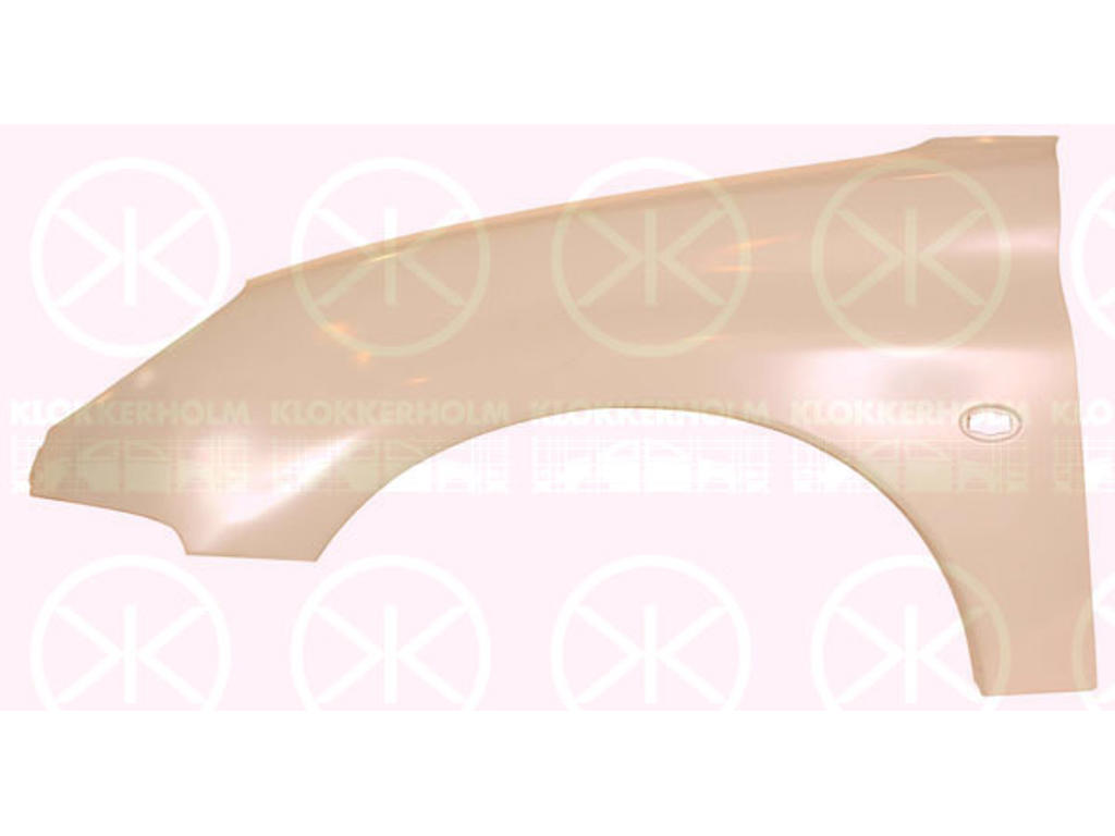 Wing, XS,S16,GT,GTI, Right Front, with hole for direction indicator