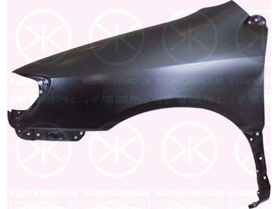 Wing, Left Front, without hole for direction indicator
