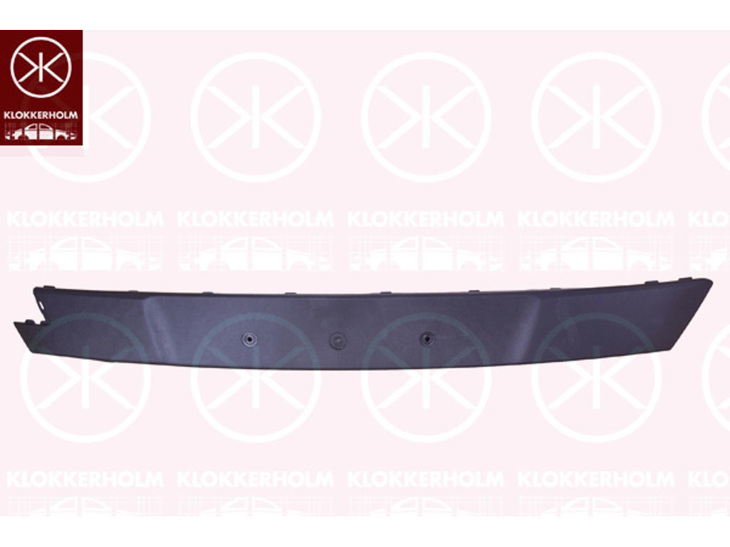 Licence Plate Holder, Front