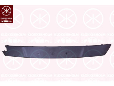 Licence Plate Holder, Front