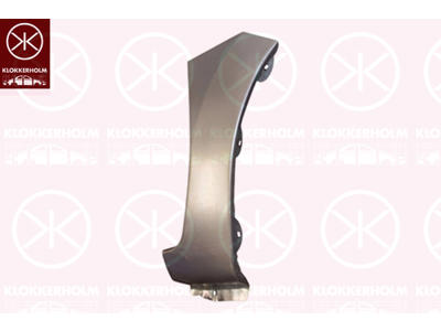 Spatbord, Rechts voor, Reparatiepaneel, Achterste deel, Onderste deel, Gegalvaniseerd