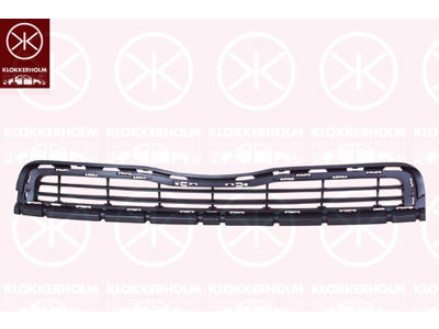 Radiator Grille, black