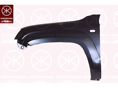 Skärm, vänster fram