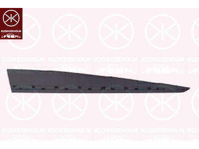 Trim/Protection Strip, door, black, Right Front, with holes for trim/protective strip