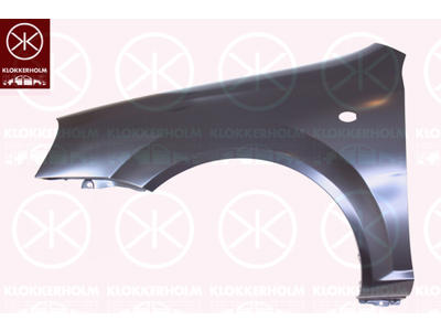 Wing, Left Front, with hole for direction indicator